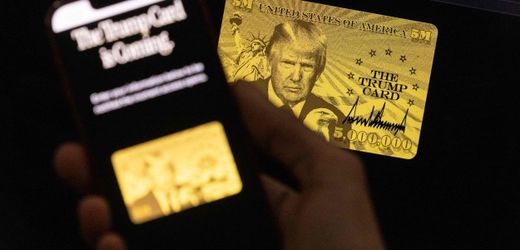 usa:-fast-70.000-bewerbungen-fur-trumps-gold-visa