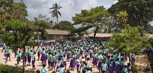 (hbm+)-teamfuhrung:-4-tipps,-wie-sie-internationale-teams-erfolgreich-fuhren