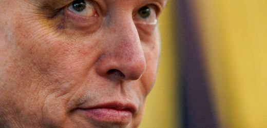 tesla:-elon-musk-verspricht-robotaxis-fur-die-halfte-der-us-bevolkerung-bis-jahresende