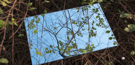 (hbm+)-nachhaltigkeitsstrategie:-unternehmen-verzetteln-sich-bei-esg-themen