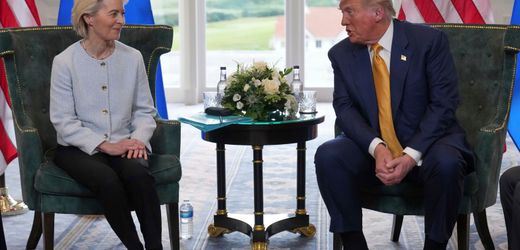 zollstreit:-gewinner-und-verlierer-des-deals-im-uberblick