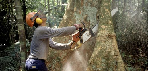 gardena,-karcher,-wera,-stihl:-wer-steckt-hinter-den-werkzeugmarken?