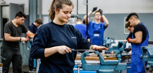 deutscher-ausbildungsmarkt:-herkunft-schlagt-weiterhin-leistung