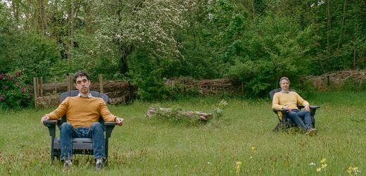 (m+)-gecoachte-trips-mit-psilocybin,-lsd-und-dmt-in-niederlanden:-drogen-fur-bessere-manager?