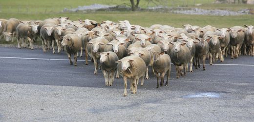 leadership:-wie-demut-den-talentpool-vergrosert