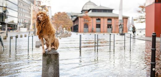 (hbm+)-management:-wie-sie-ihren-fuhrungsstil-finden