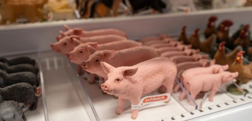 schleich-in-der-krise:-der-absturz-eines-der-grosten-deutschen-spielzeughersteller