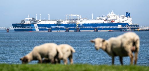 lng-terminals:-deutsche-importe-erreichen-rekordniveau