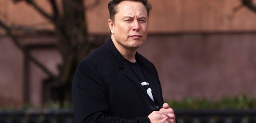 grokipedia:-elon-musk-bringt-wikipedia-alternative-an-den-start