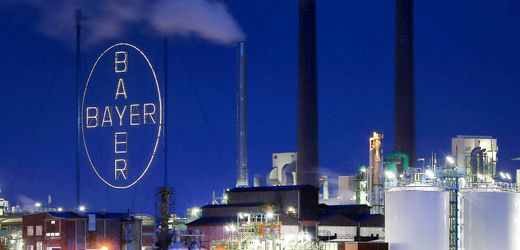 burokratie:-bayer-reduziert-kontrolle-und-starkt-die-basis