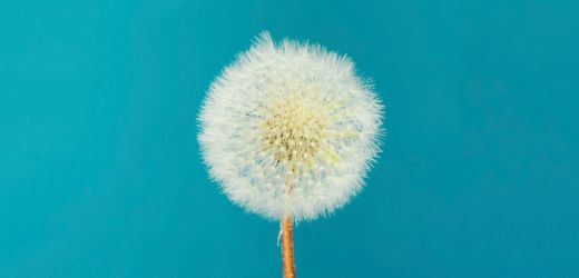 (hbm+)-corporate-ventures:-warum-interne-start-ups-oft-am-system-scheitern