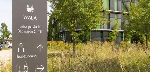 (m+)-dr.-hauschka:-naturkosmetikhersteller-wala-feuert-fast-den-gesamten-vorstand