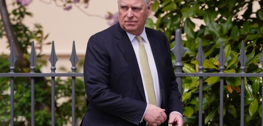 jeffrey-epstein-affare:-ex-prinz-andrew-festgenommen