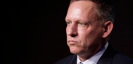 peter-thiel:-verteidigungsministerium-sieht-stark-investment-als-unproblematisch