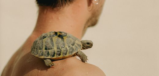 (hbm+)-darf-es-etwas-weniger-sein?