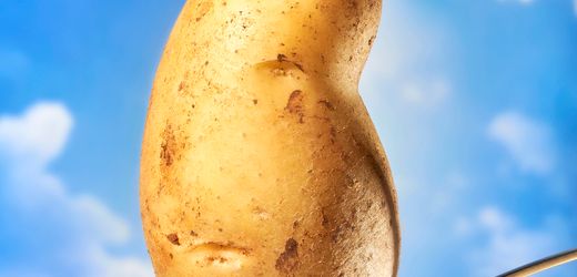 (m+)-geldanlage:-warum-sich-value-investment-im-geiste-buffetts-gerade-lohnt