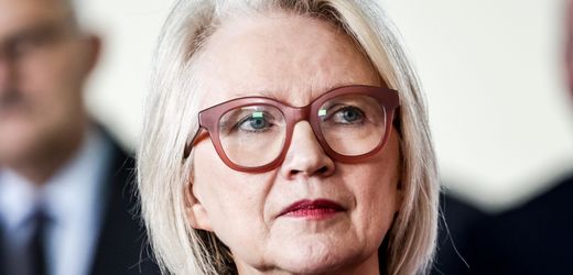 heizungsgesetz:-wirtschaftsweise-schnitzer-kritisiert-plane-der-regierung