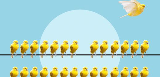 (HBm+) Talentmanagement: Interne Abwerbung – wie sie ohne Reibungsverluste gelingt