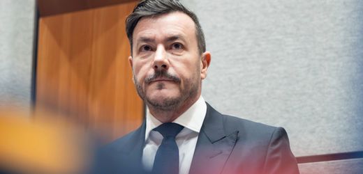 rene-benko-will-offenbar-zum-tischler-umschulen