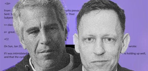 (m+)-peter-thiel:-so-nah-standen-sich-jeffrey-epstein-und-der-deutsche-unternehmer