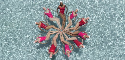 (hbm+)-fuhrung:-wie-super-facilitators-teams-zum-erfolg-fuhren