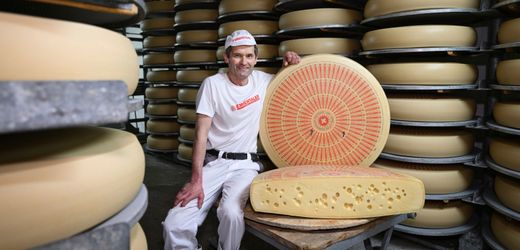 Milch zu sauber: Schweizer müssen Löcher im Käse mit Heublumenpulver retten