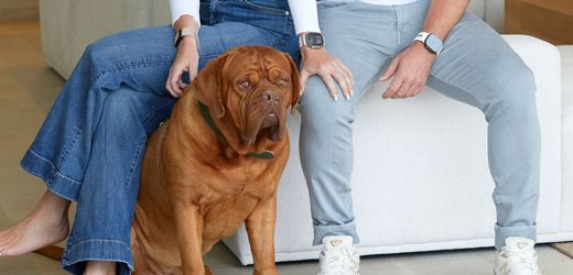 nestle:-ankerkraut-grunder-holen-gewurzfirma-von-nestle-zuruck