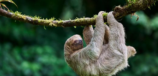 (hbm+)-transformation:-wenn-schadliche-glaubenssatze-das-team-ausbremsen