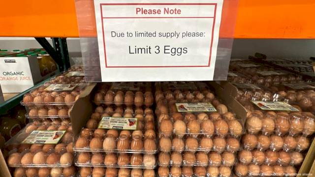 US updates: Trump administration seeks eggs from Denmark – DW (English)