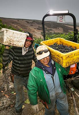 trump-floats-possibility-of-compensation-for-jan.-6-rioters-–-politico