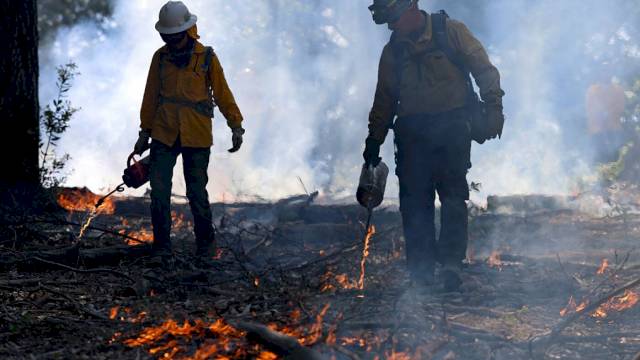 trump-administration-falls-behind-on-wildfire-prevention-with-risky-fire-season-ahead-–-npr