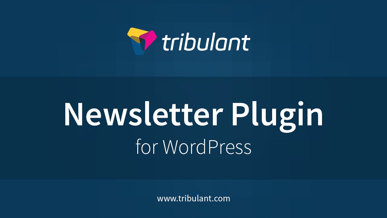 WordPress Newsletter plugin