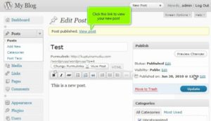 How to write a new post in WordPress