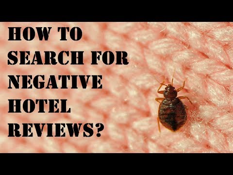 How to search and import negative hotel reviews on a specific subject (example: bug, roach)