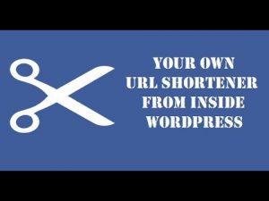 How to create your own URL shortener from WordPress? Forget about bitly and other shorteners