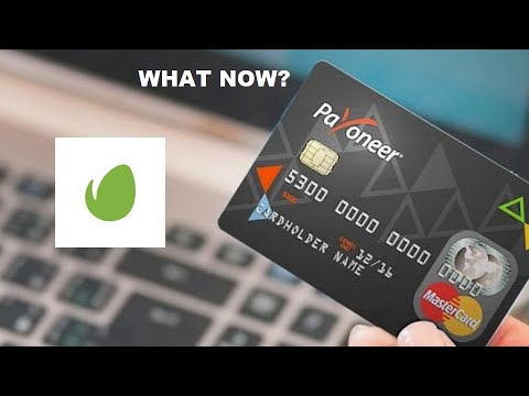 Payoneer cards frozen – what to do next if you are an Envato author?