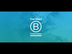 Congratulations to Envato for becoming a certified B Corp