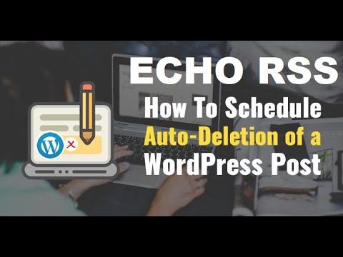 How to automatically delete posts created by the Echo RSS Feed Post Generator plugin?