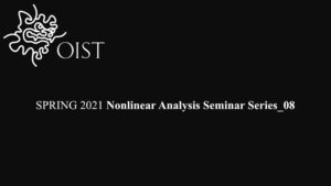 Spring 2021 Nonlinear Analysis Seminar Series_08