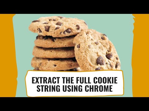 How To Copy The Full Cookie String From Any Website Using the Chrome Browser