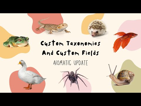 AI Generated Custom Fields And Custom Taxonomies Using The AI Content Editor In Aiomatic