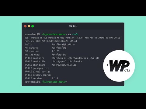 WP-CLI Integration in Aiomatic: Automate AI Content Editing & Bulk Post Creation!