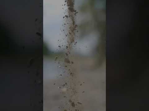 Maximize Solar Efficiency  Clean Your Panels!