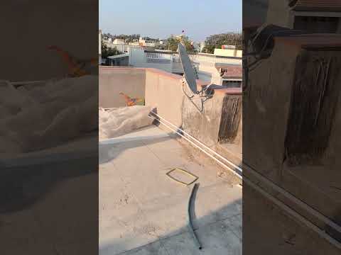 Are Solar Panels Worth It? (5 Year Review)