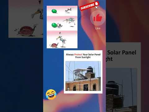 Protect your solar panels 🤣💀 #shorts #memes