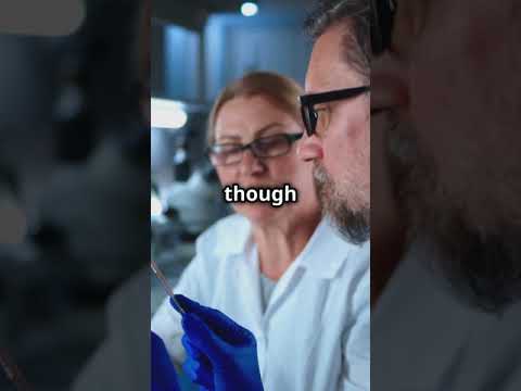 Japan’s titanium Solar panels: A game changer! #solarenergy #tech #innovation #climatechange