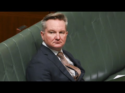 ‘Insta influencer’ Chis Bowen ‘spruiks’ solar panels at new Brisbane Lions HQ