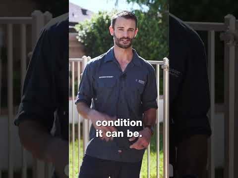 Clean Your Solar Panels WITHOUT Damage!🧼☀️ #solarpanelcleaning