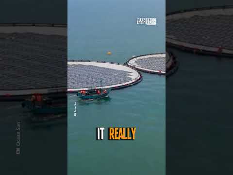 Should We Put Solar Panels on Water?