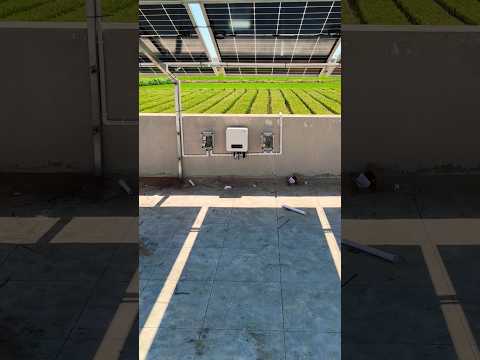 Why Your Solar Panels Will Last Forever